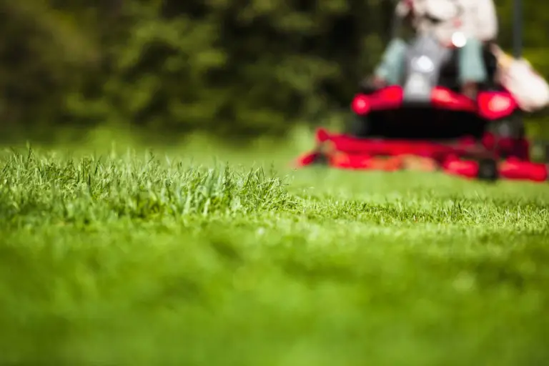 man driving a lawnmower in front yard